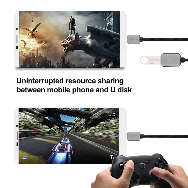 編織漁網USB 3.1 Type-C 轉 USB 3.0 AM 可過2A電流 充電/數據線, 長度3米