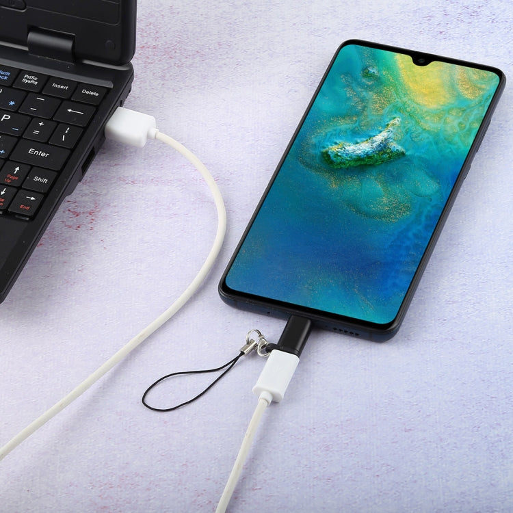 迷你便攜USB轉Type-C & USB-C轉接頭 帶OTG功能