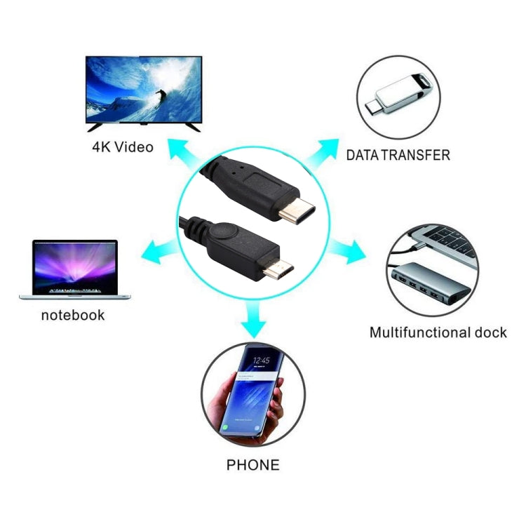 Micro USB母頭 轉 Micro USB公頭+Type-C公頭 Y型線轉接線 線長：約30cm