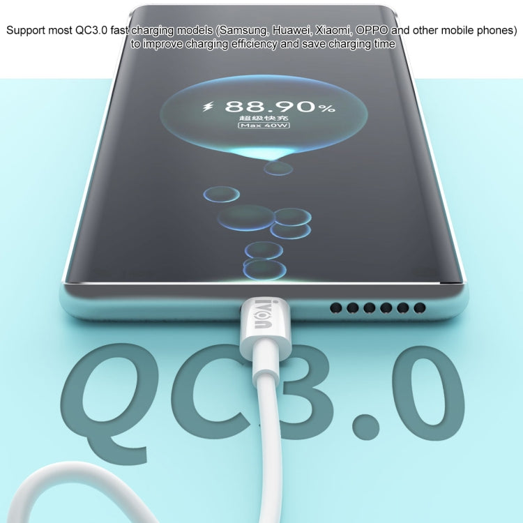 IVON CA203 60W PD Type-C轉Type-C 快充數據線，線長：1m