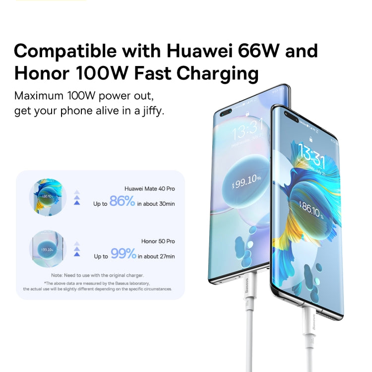 倍思 優勝系列 P10320102214-00 100W USB轉Type-C快充數據線, 線長: 0.25m