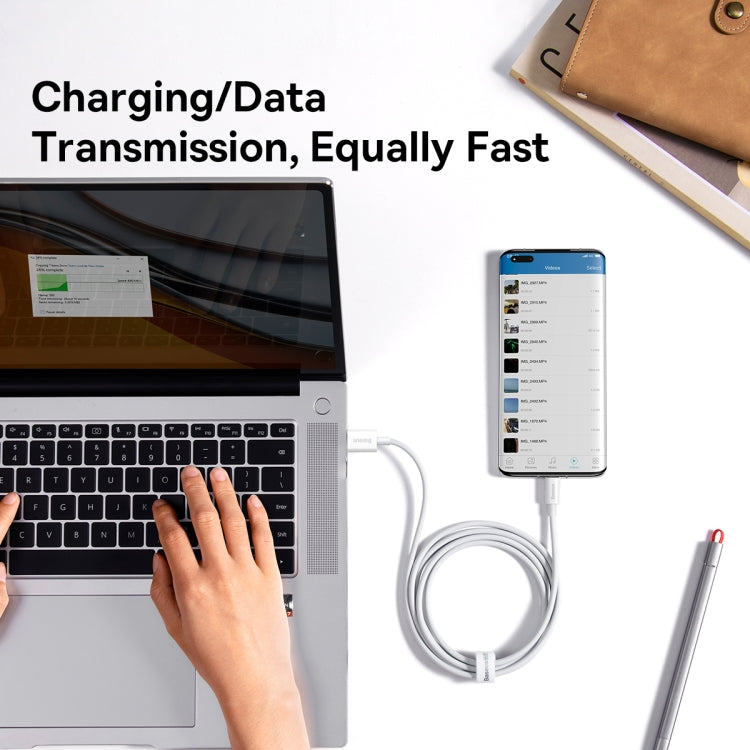 倍思 優勝系列 P10320102214-00 100W USB轉Type-C快充數據線, 線長: 0.25m