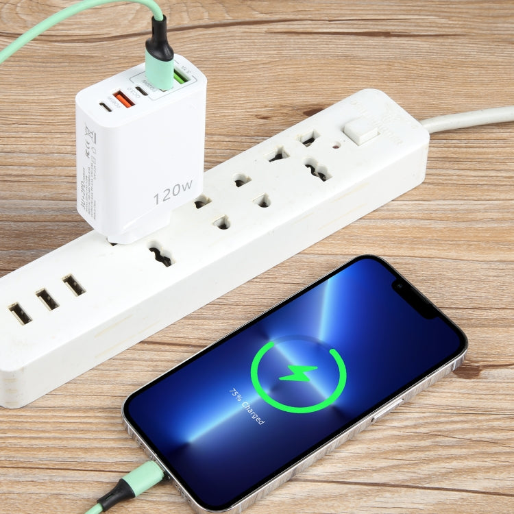 120W 雙PD Type-C + 3 USB 多口充電器，歐規