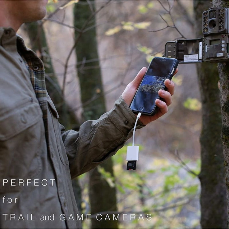 ZS-KL21810 8 Pin轉SD卡 相機讀卡器適配器，支持所有iOS系統