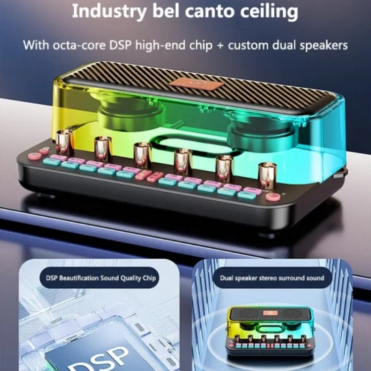 C18家用聲卡設備全套卡拉ok音頻集成麥克風