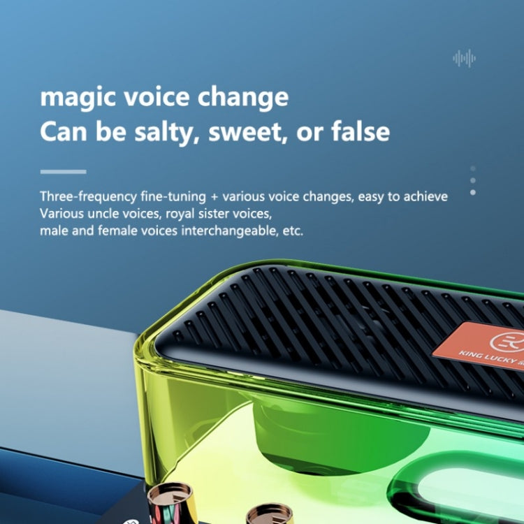 C18家用聲卡設備全套卡拉ok音頻集成麥克風