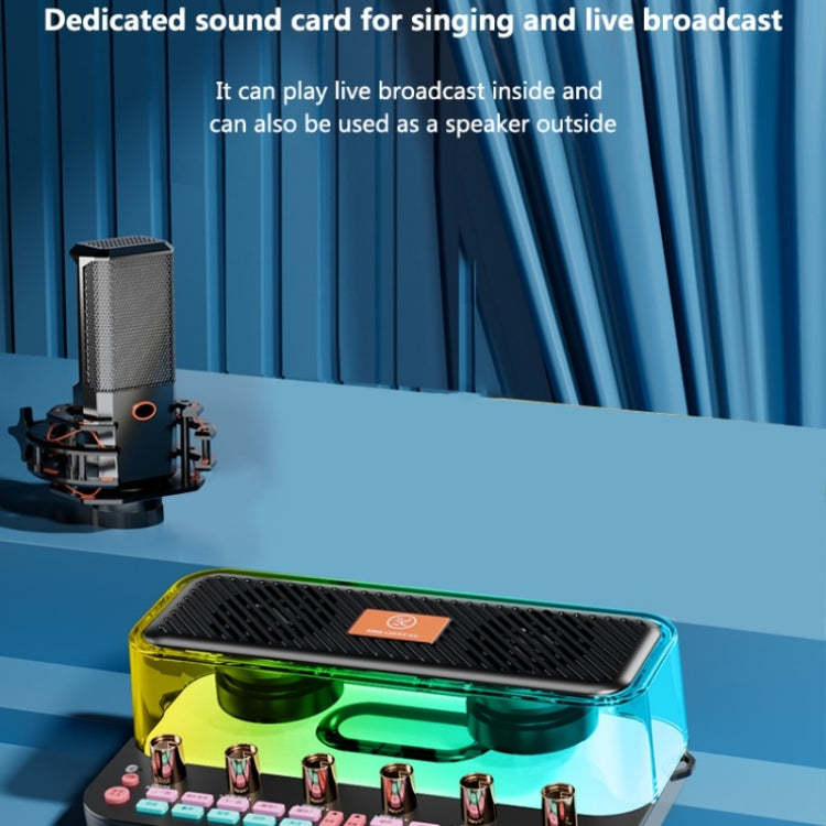 C18家用聲卡設備全套卡拉ok音頻集成麥克風