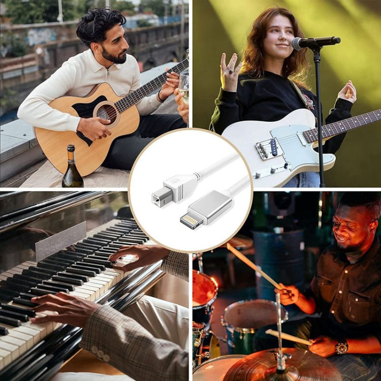 8 Pin 轉 USB + MIDI 电子樂器&OTG&充電多功能線 兼容iOS 10-14系統 長度1米