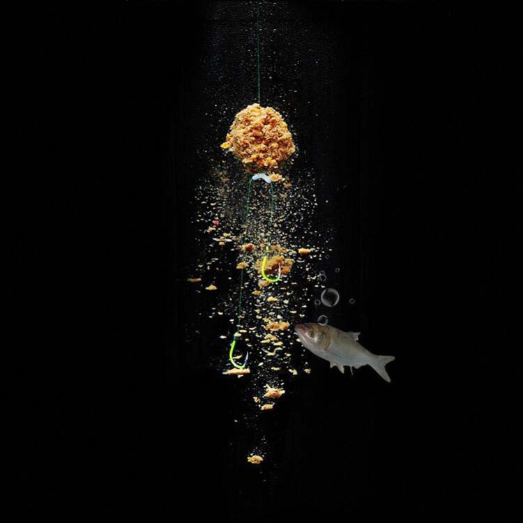 5合1套裝 子線雙鈎防纏繞鰱鱅釣組彈簧釣魚鈎