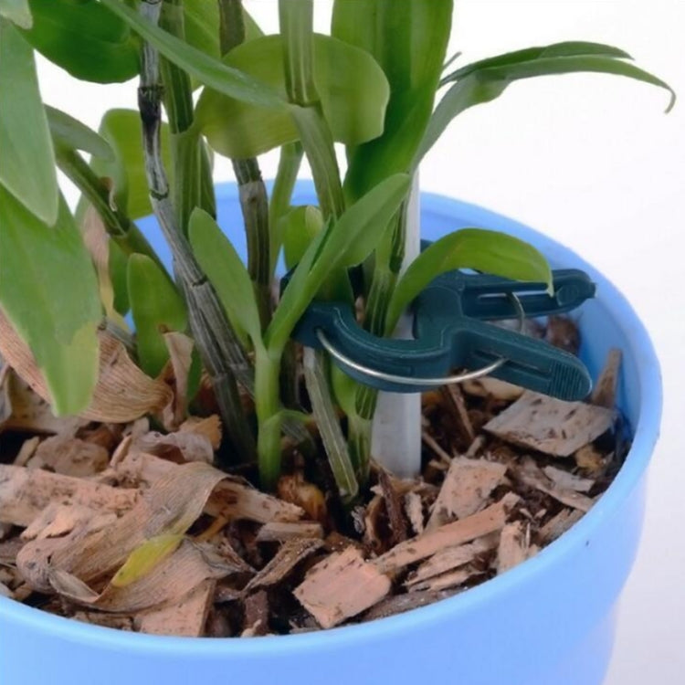 塑料植物園林夾套裝