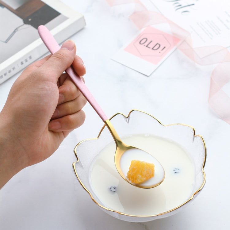 簡約不銹鋼鍍鈦長柄飯湯勺子