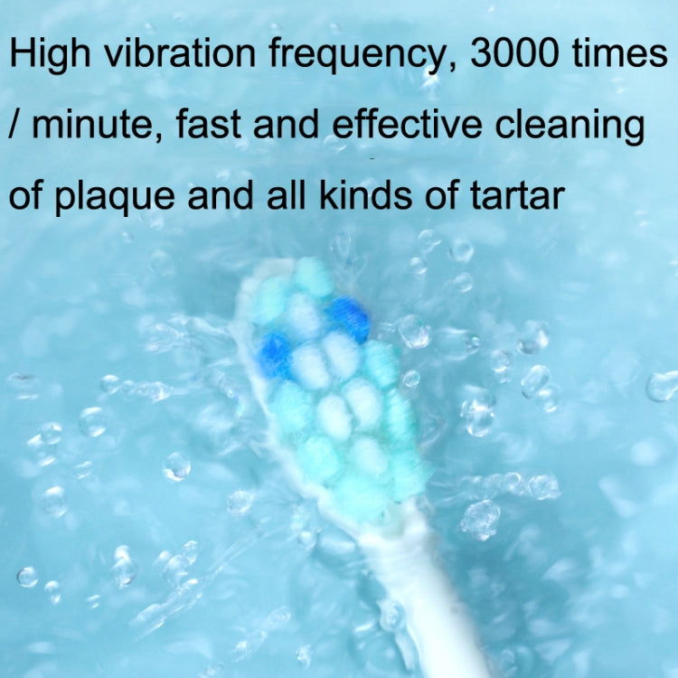 鉑瑞 BR-Z5 USB快充軟毛聲波電動牙刷