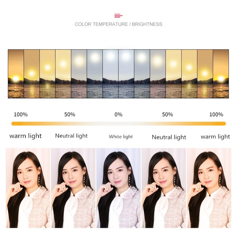 可調光 色溫LED環形補光燈直播套裝