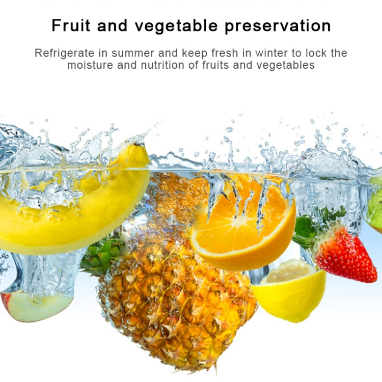 10升 迷你冰箱車家兩用小型宿舍冷藏箱 國標