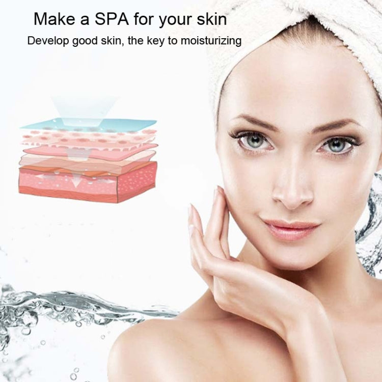 臉部加濕器噴霧儀USB充電納米手持冷噴美容儀酒精消毒器