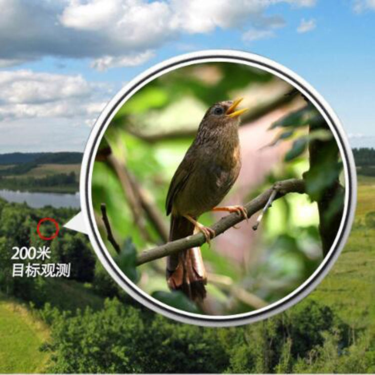 艾斯基高倍高清望遠鏡 夜視非紅外 充氮防水袖珍雙筒望遠鏡