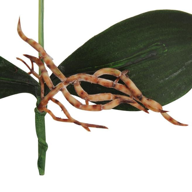 裝飾美化圓盆三花蝴蝶蘭盆景仿真盆栽