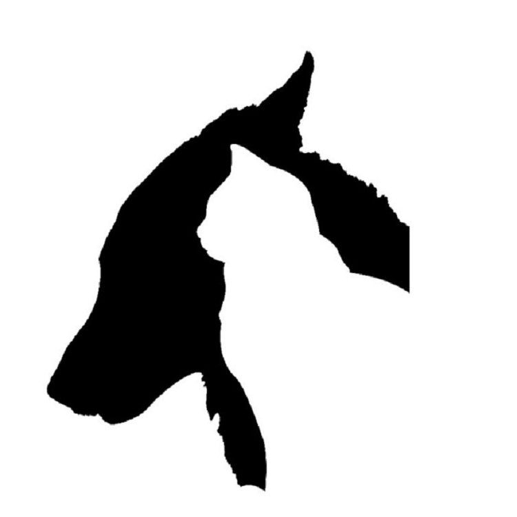 十件一賣 狗和貓車貼寵物反光防水貼紙