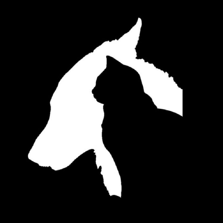 十件一賣 狗和貓車貼寵物反光防水貼紙