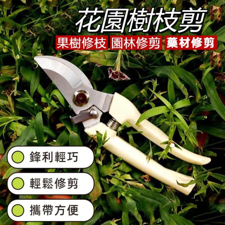 園林工具不銹鋼修枝剪果樹剪刀花園樹枝剪 新舊包裝隨機發貨