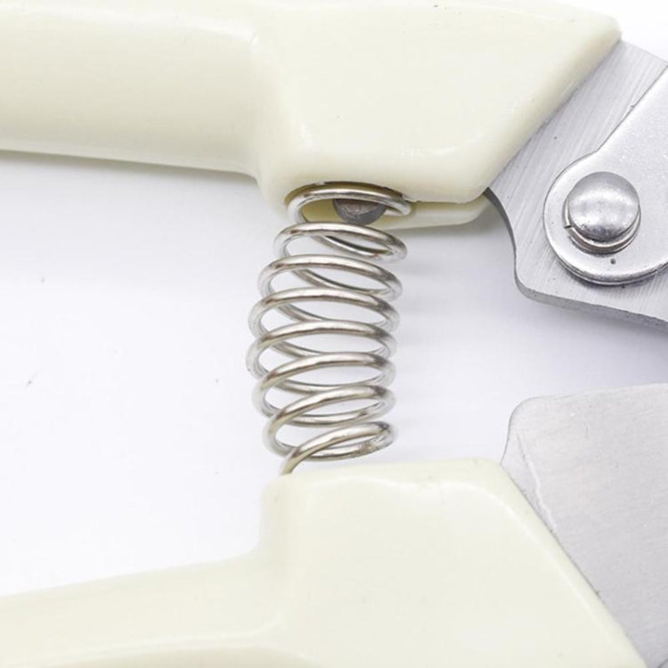 園林工具不銹鋼修枝剪果樹剪刀花園樹枝剪 新舊包裝隨機發貨