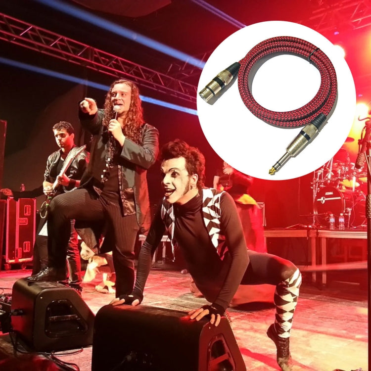 紅黑網 TRS 6.35mm公轉卡農母 麥克風XLR平衡線