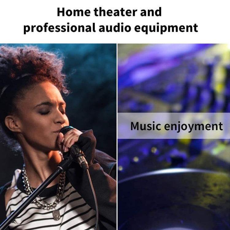 卡農公轉2RCA公插頭立體音頻線，長度：