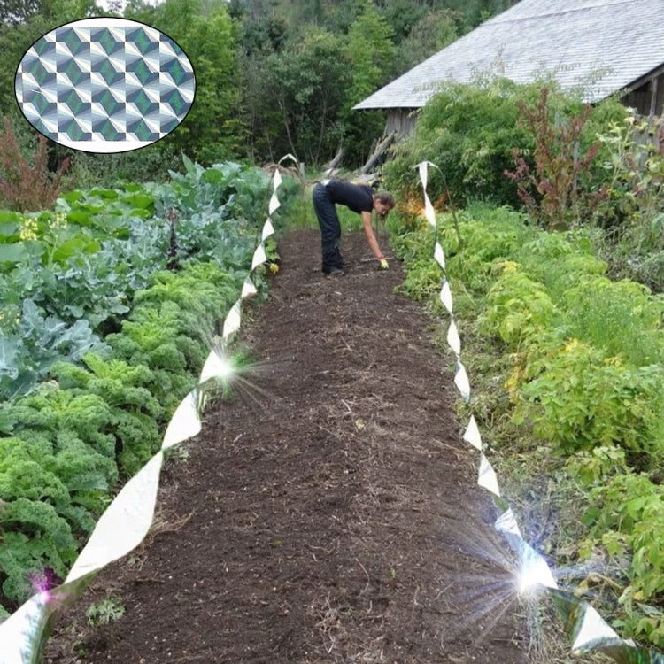 雙面反光驅鳥綵帶趕鳥器園林工具
