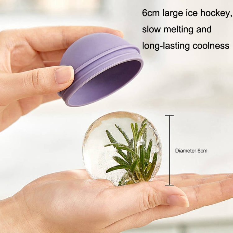 2個一賣 家用威士忌燈泡冰球冰塊硅膠模具帶漏斗