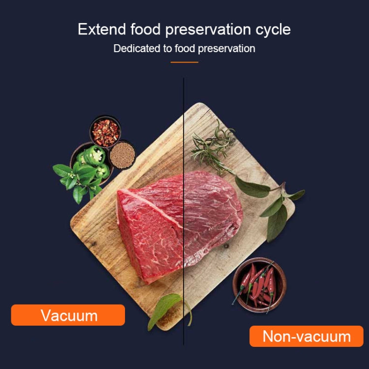 家用食品机械真空包裝機 尼龍複合紋路真空袋封口機