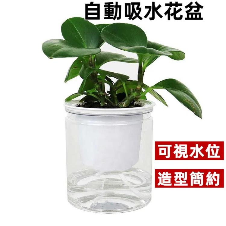 Automatic Water Absorption Hydroponic Pot Succulent Plant Flower Pot
