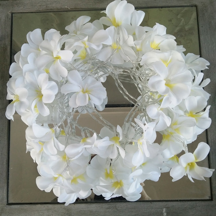 1.5米 10燈 創意DIY雞蛋花花卉節日燈飾LED燈串  活動派對花環卧室裝飾燈 暖白光 電池供電