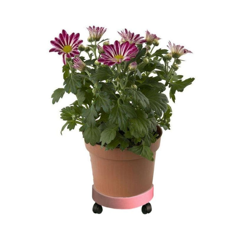 通用易於移動植物盆托盤花園板塑料支架