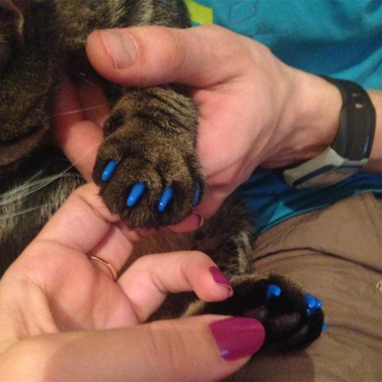 20粒一賣 硅膠貓指甲蓋/貓爪/寵物指甲保護器/貓指甲蓋