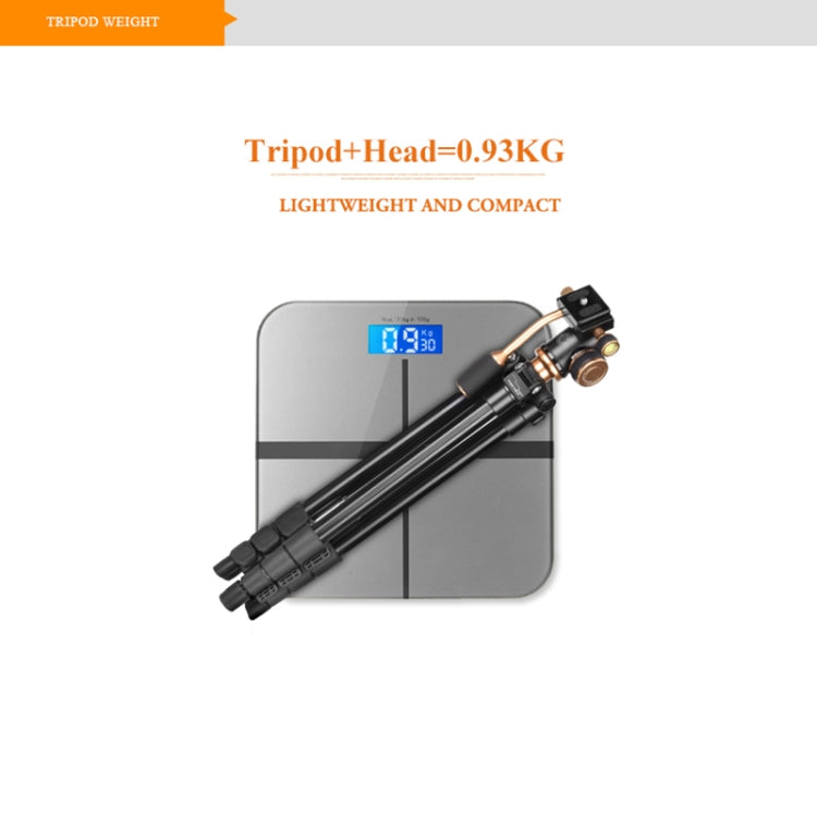 Q160S微單單反相機三腳架便攜攝影手機直播鋁合金三角架 帶阻尼雲台