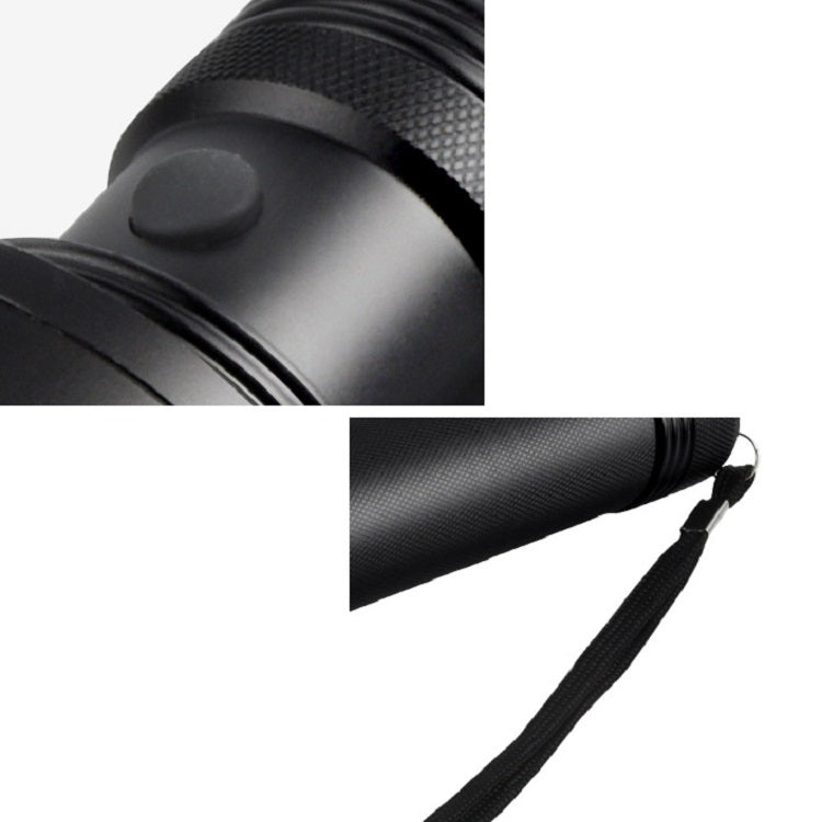 紫光手電筒蠍子熒光檢測燈驗鈔燈戶外燈