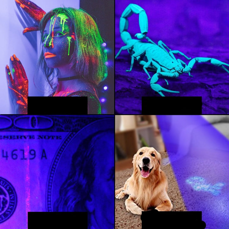 紫光手電筒蠍子熒光檢測燈驗鈔燈戶外燈