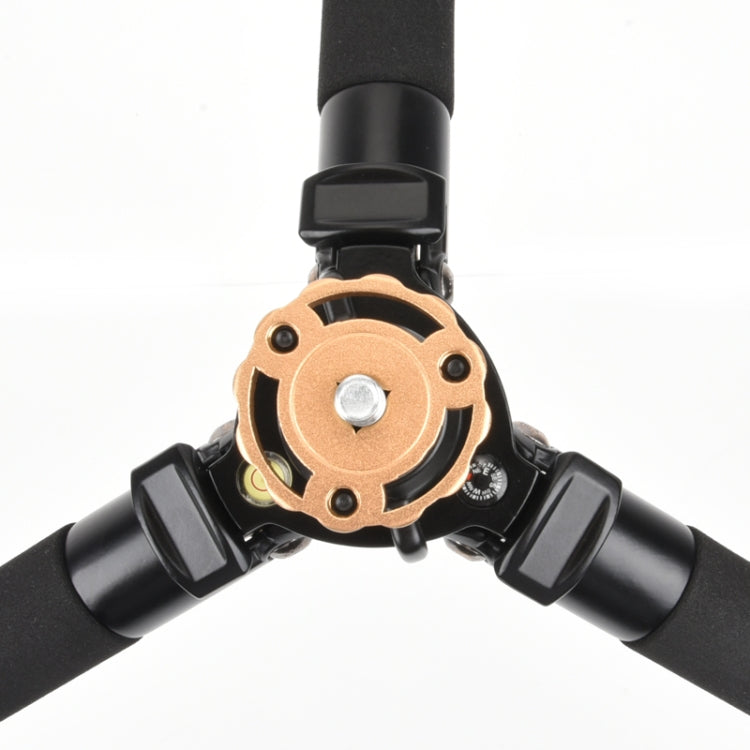 Q338單反三腳架便三角架直播支架三腳架雲台