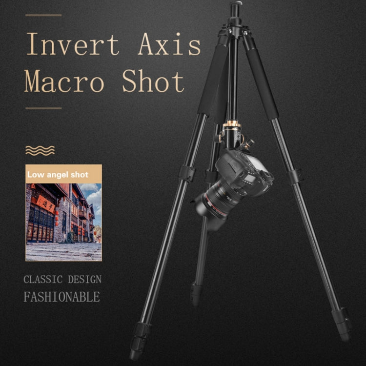Q338單反三腳架便三角架直播支架三腳架雲台