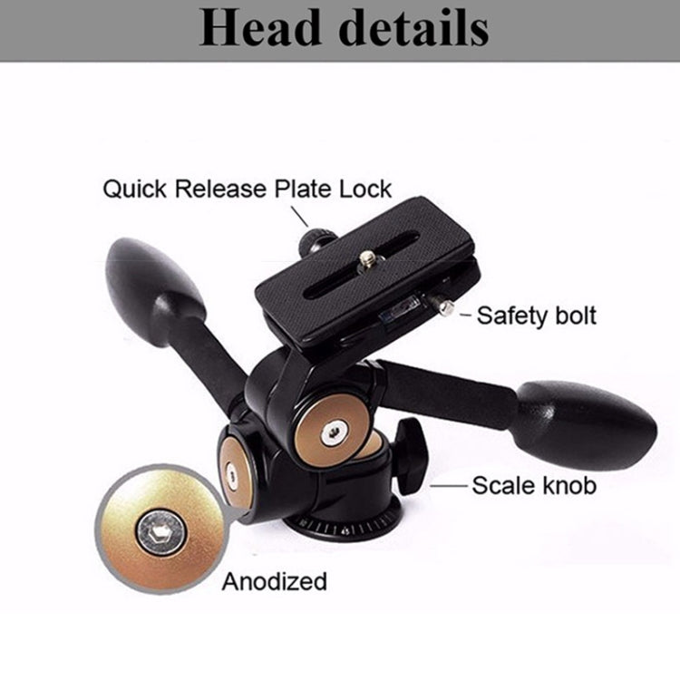 Q620單反攝影三角架 帶阻尼三維雲台