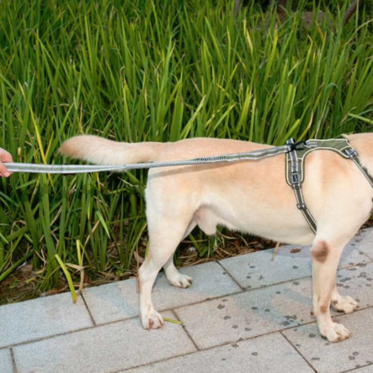 狗狗戶外防沖牽引繩尼龍反光彈力伸縮遛狗繩