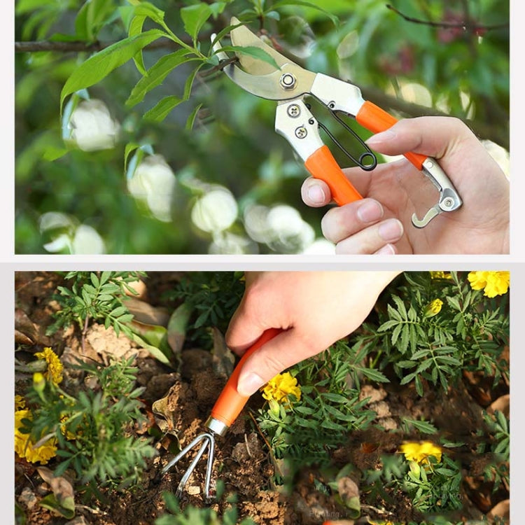 10件/套賣 五金工具箱園林園藝工具花園種花工具