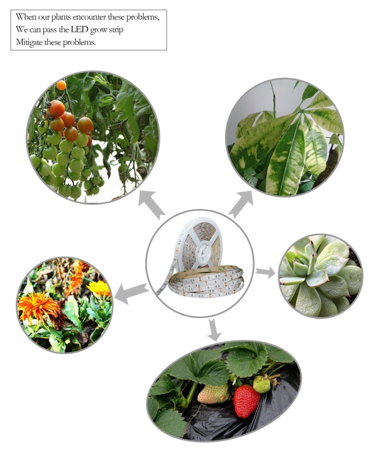 5米300燈珠5050芯片全光譜燈條LED溫室水培植物生長燈