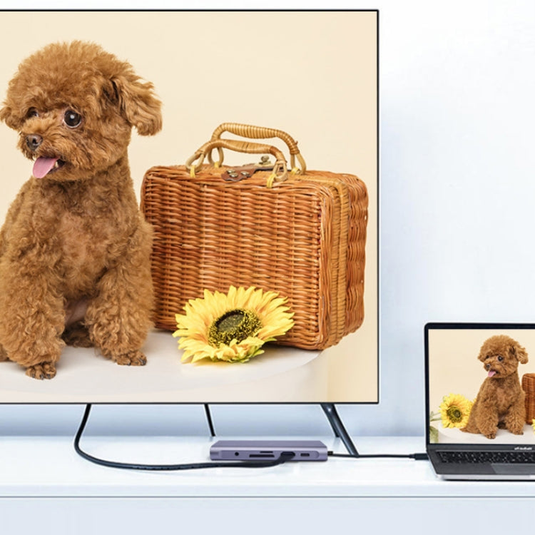 10合1 Type-C 多功能擴展塢 PD快充集線器