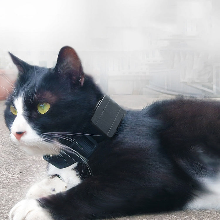 CJ230 寵物定位器 微型迷你GPS定位器
