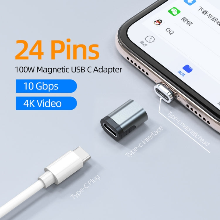 TZ28 PD 100W 24Pin 快充數據視頻傳輸Type-C / USB-C 磁吸轉接頭