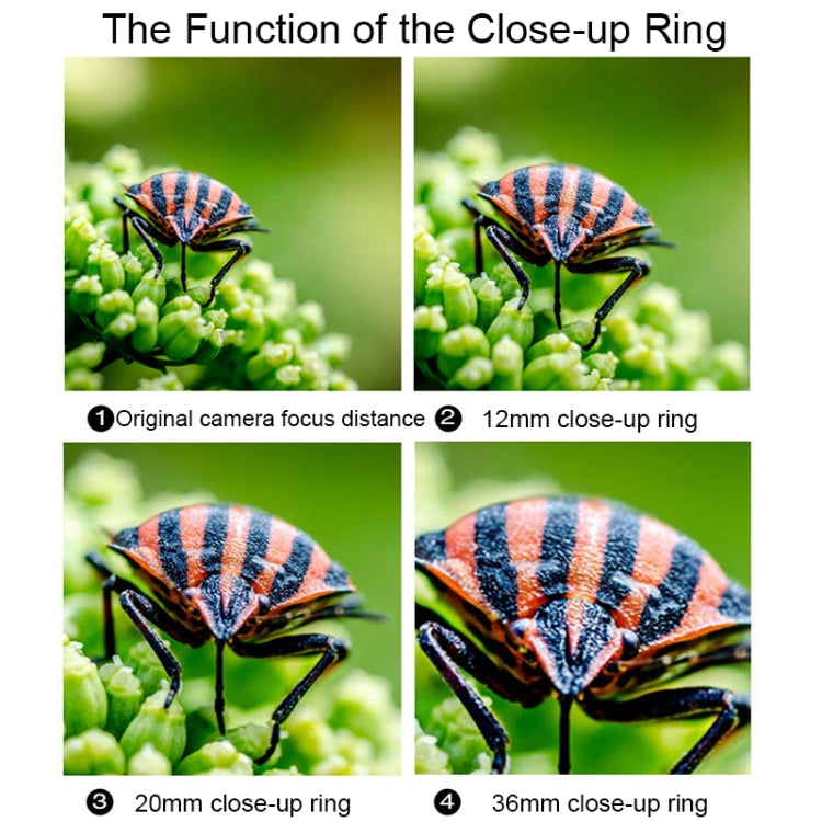 適用於佳能EOS全系列 唯卓仕 DG-C 相機自動近攝接圈 微距接環組