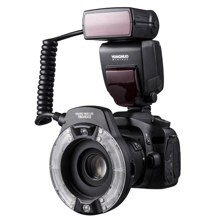 適用佳能TTL口腔昆蟲牙齒環閃燈 永諾YN14EX II 環形微距閃光燈