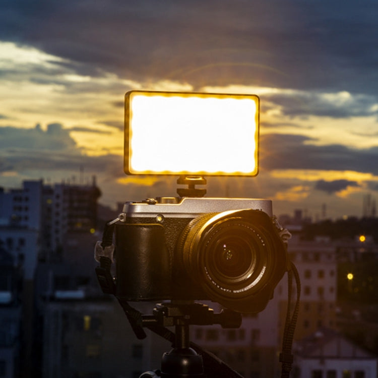 微徠 RB08P 52LEDs RGB炫彩燈效迷你攝影補光燈