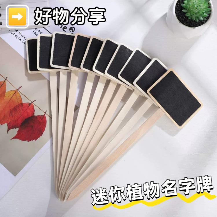 ZX507 10個一賣 木製插地DIY留言板 迷你植物名字牌 桌面展示板